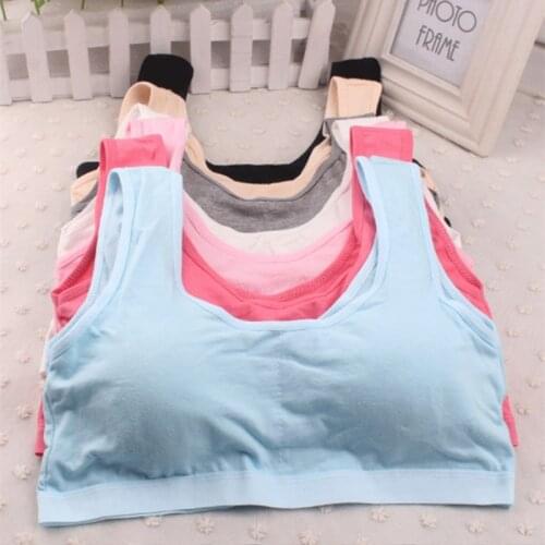 Wholesale High Stretch Fitness Breathable Sports Bra Top Fitness Women Padded Sport Bra For Running Yoga Gym Seamless Crop Bra