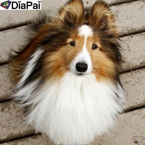 DIAPAI DIY 5D Diamond Painting "Animal dog" Full Diamond Embroidery Sale Picture Of Rhinestones For Festival Gifts A25612
