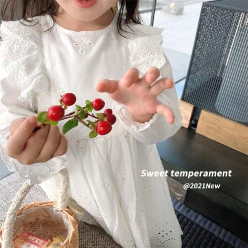 Toddler Girls White Cotton Dress with Ruffles Lovely Fly Sleeve Embroidery Spring Summer Costume Causual Clothing