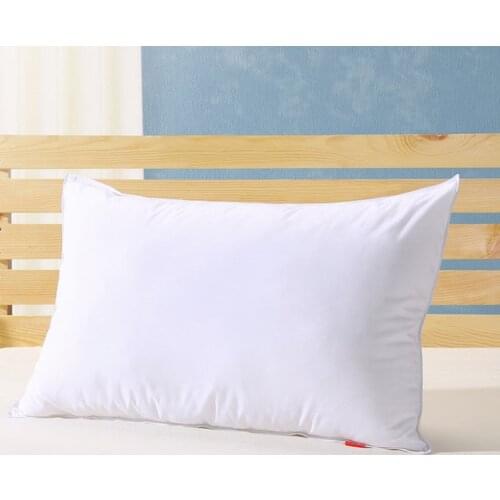 Firm type 90% white goose down pillow king 20*36 inches white filled 45 oz Fill power 800+ white goose down free shipping