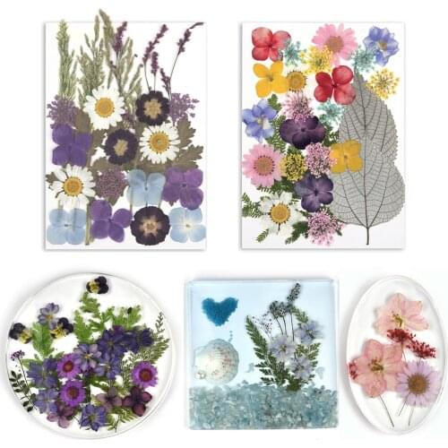 Dried Flowers Resin Filliing Pressed Flowers Plants For DIY Crystal Epoxy UV Resin Jewelry Making Resin Mold Filler Decoration