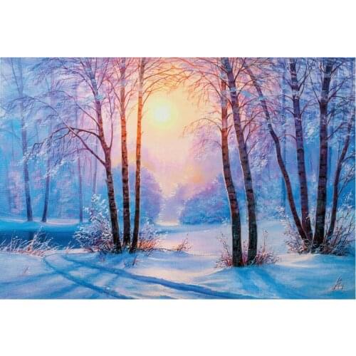 Beautiful Sun and Snow Scene Backdrop Holiday Photography Background Celebration Photo Booth Studio Decor