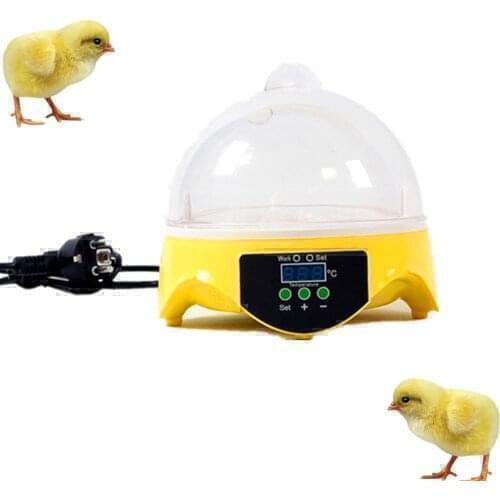 School laboratory 7 egg hatchery machine incubators for hatching eggs