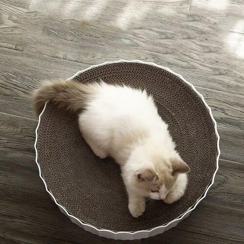 Cat Scratching Cardboard Cat Scratcher Board Claws Grinding Bowl Is Circular Corrugated Cat Litter Cat Scratch Abr