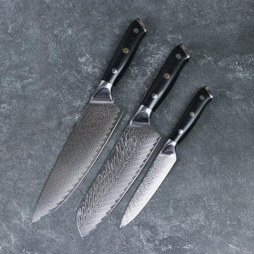 JUNSHENG 67 layer Damascus steel kitchen knife 3 piece chef knife set G10 plum rivet multi-function fruit knife