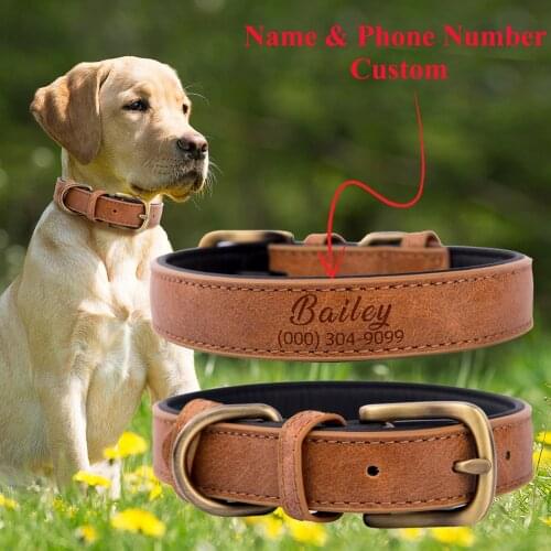 Dog Collar Personalized Pet Leather Collar Custom Collars for Small Medium Large Dogs Roper Collar with Engraved ID Dropshipping