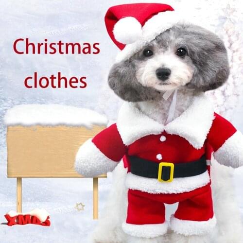 ZHIBIRD Clothes For Cats