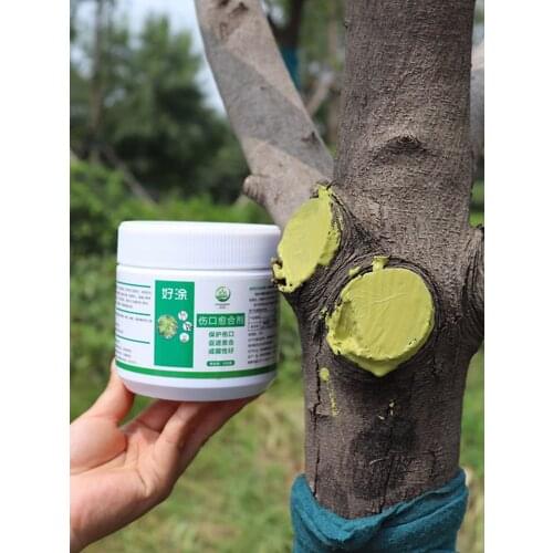 Bonsai Pruning Cutting Paste Tree Plant Pruning Sealer Compound Garden Grafting Plant Healing Cream Tree Cut Wound Bonsai Care