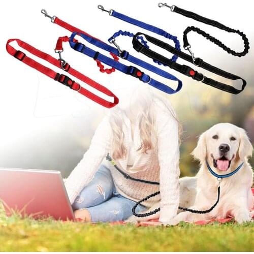 Pet Elastic Breakaway Leashes Polyester Retractable Leash For Dogs Sports Rope Running Traction Belt Jogging Leads Dog Collar