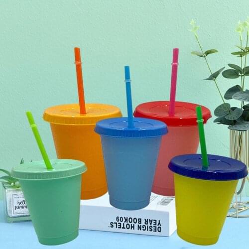 5Pcs 480ml Straw Cup Fixing ring Color-changing Design PP Kids Straw Mug for Gifts Straw Cup