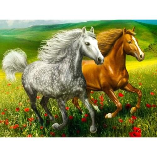 5D Diy Diamond Painting two Horse Picture Of Rhinestones Diamond full drill Animal Embroidery Wall Stickers Grassland scenery