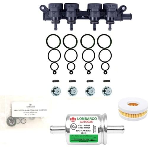 Landirenzo AEB Evo Injector Repair Kit 383871086