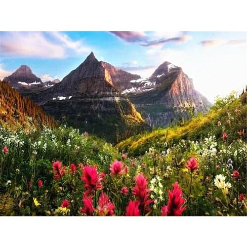 Flower Landscape Printed Fabric 11CT Cross-Stitch DIY Embroidery Set DMC Threads Sewing Handmade Painting Handicraft Decor