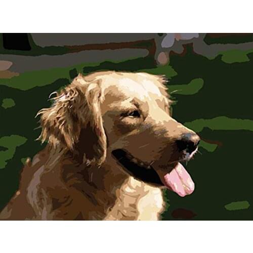 Dog Painting By Numbers Coloring On Canvas For Adult Paint DIY With Frame Animal Drawing Picture By Number Decoration Wall art