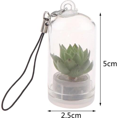 Cactus Miniature Succulent Cactus Terrarium Wearable Necklace Live DIY Succulent Plant Pendant Random Style