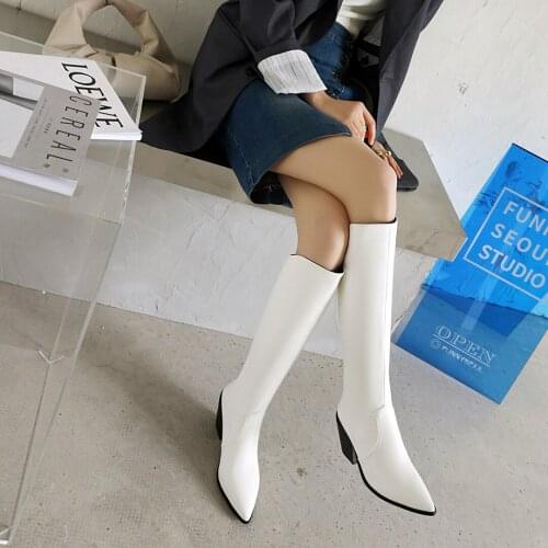 New Women Knee High Boots Fashion Pointed Toe High Heel back zip Ladies Long Boots Short Plush Women Winter Shoes Big Size 34-43