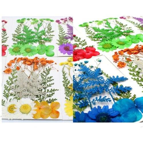 1 Bag Of Dried Flowers UV Resin Filling Jewelry Decorative Natural Pressed Flower Art Floral Decors Epoxy Resin Mold