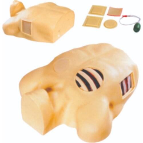 Pleural Puncture Drainage Simulator BIX-L66 WBW253