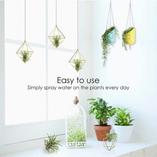 M17D 5pcs Modern Metal Geometric Air Plant Holder Minimalist Terrarium Planter Hanger Display Stand Rack Tabletop Home Decor