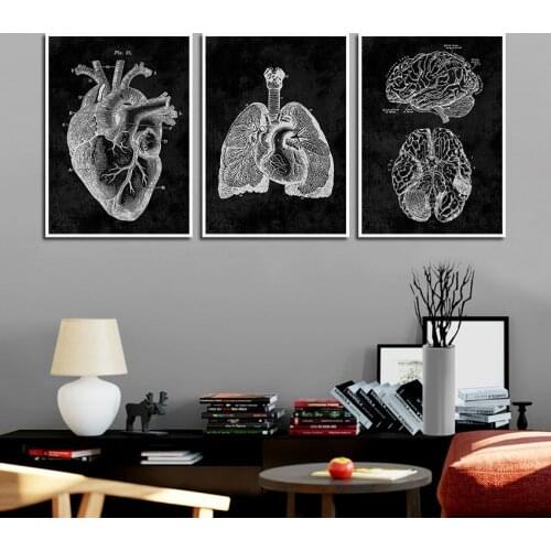 Black and White Wall Art Organ Anatomy Poster Medical Student Education Canvas Painting Doctor Office Medical School Wall Decor