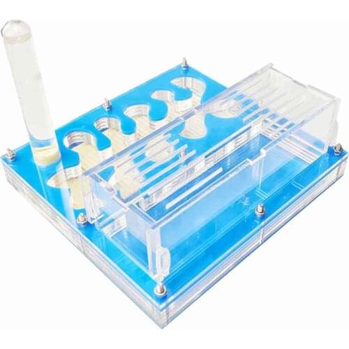 Blue Ant Farm With Ants and Food Reptile Terrarium Family Pet Breeding Insect Supplies