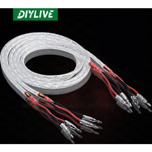 A pair of DIYLIVE HIFI silver-plated speaker cables for sound systems high-end 6N OCC speaker cab0les（1.5m~3.5m