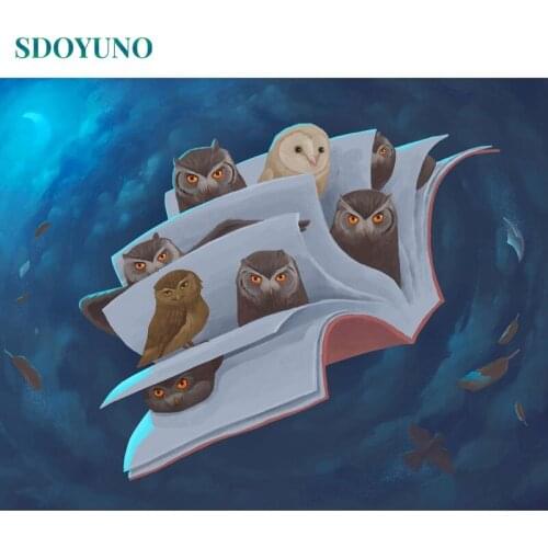 SDOYUNO 60x75cm Paint By Numbers Kits On Canvas Owl Magic Book DIY Frameless Painting By Numbers For Adult Digital Hand Painting
