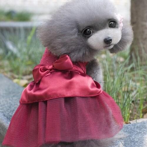 Wedding Dog Clothes Tutu For Dog Kedi Elbisesi Female Cat Dresses For Chihuahua Clothes For Girl Costumes Princess Skirt