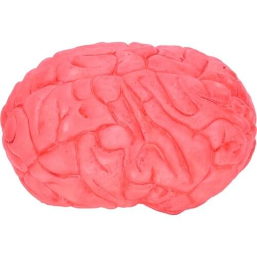 Prop Rubber Horror Fake Scary Human Brain Haunted House Organ Body Part Halloween Decoration Horror Prop Decor Gag Toys