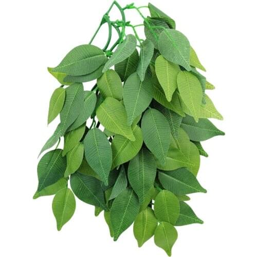 Товары для рептилий REPTIZOO China At AliExpress