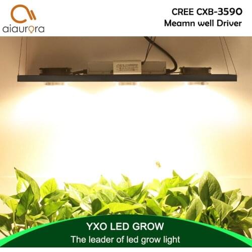 CREE CXB3590 300W COB LED Grow Light Full Spectrum LED Lamp 38000LM = HPS 600W Growing Lamp Indoor Plant Growth Panel Lighting