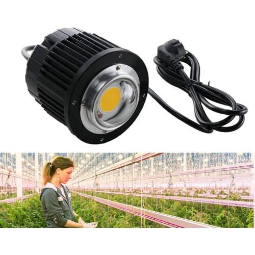 100W LED Grow Light CREE COB CXB3590 3000K 3500K 5000K 12000LM Original Chip High Power Lumens for DIY Plant Growing Lamp