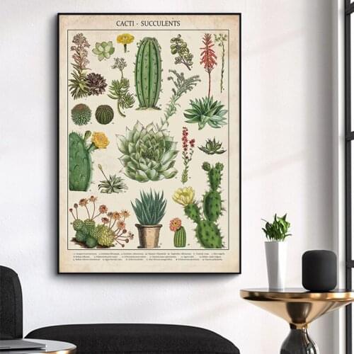 Modern Cacti Succulents Plant Flower Canvas Painting Scandinavian Cuadros Wall Art Pictures Prints and Posters for Home Decor