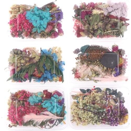 1 Box Real Mix Dried Flowers for Resin Jewellery Dry Plants Pressed Flowers Making Craft DIY Accessories