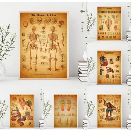 Human Anatomy Canvas Painting Hospital Vintage Posters Doctor Office Decoration Skeleton Anatomical Body Structure Wall Art