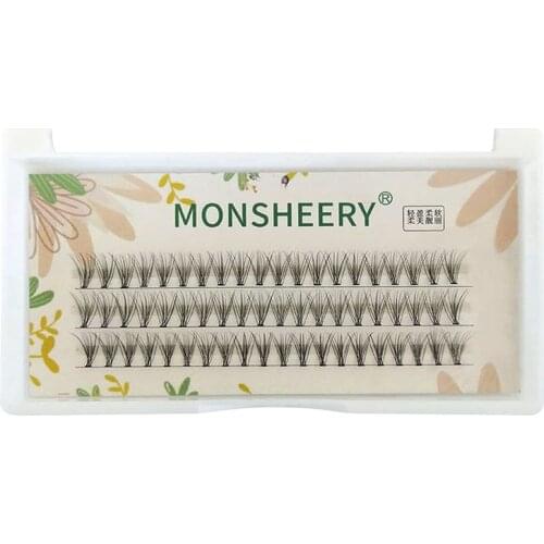 0.07mm Individual Eyelashes C Curl 10 Roots Natural Lash Cluster 0.07 Thickness Planting and Grafting False Eyelashes Single