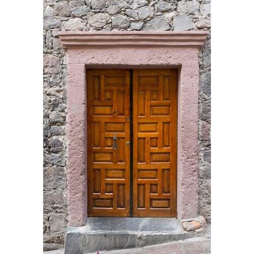 Wooden Door Brick Wall Photo Backdrop Customized Studio Photography Background for Pets Children Baby Portrait Photobooth Props