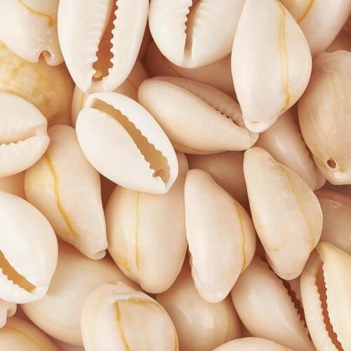 50pcs Natural Shell Beads White for Women Ladies fashion jewelry Bracelet Necklace Earring Charms DIY Making Gifts joyeria F95