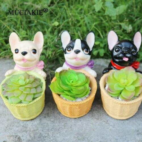 MUCIAKIE 1PC Tabletop Succulent Vlowerpot Plant Potted Personality Creative Micro Landscape Display Flowerpot