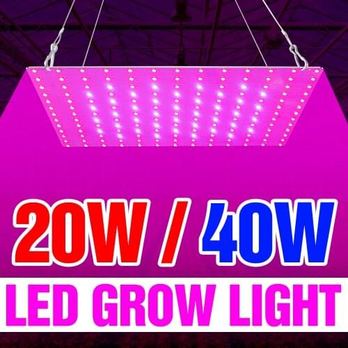 20W 40W Phytolamp LED Full Spectrum LED Grow Light Plant Growth Lamp 220V Greenhouse Seedling Fito Light LED Flower Seed Lampada