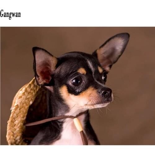 5d diy full square round drill diamond painting cute chihuahua embroidery diamant dog Cross Stitch Rhinestone mosaic painting