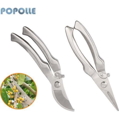 Popolle Scissors