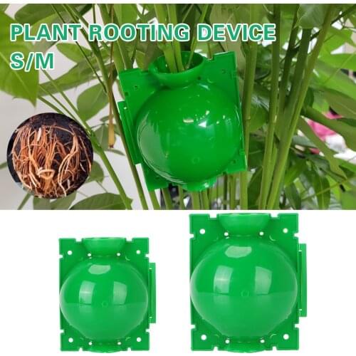 Plant Rooting Ball Grafting Rooting Plant Cultivation Supplies Case Plant Root Growing Box Breeding Growing Box For Garden