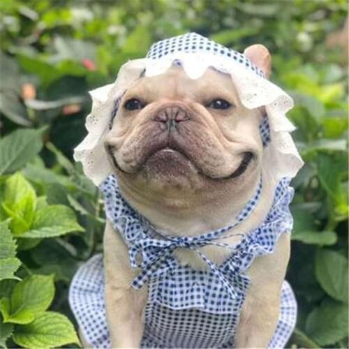 French Bulldog Dress Spring Summer Dog Clothes Pug Clothing Poodle Bichon Schnauzer Welsh Corgi Costume Frenchies Dog Apparel