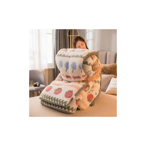 Thicken and Warm Autumn and Winter Quilt for Students and Adults In Winter Quilt Skinfriendly Bedding Quilt or Mattress