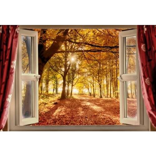 Yeele Autumn Scenery Photocall Backdrop Maples Glitter Shine Window Baby Portrait Newborn Background Photo Studio Photographic