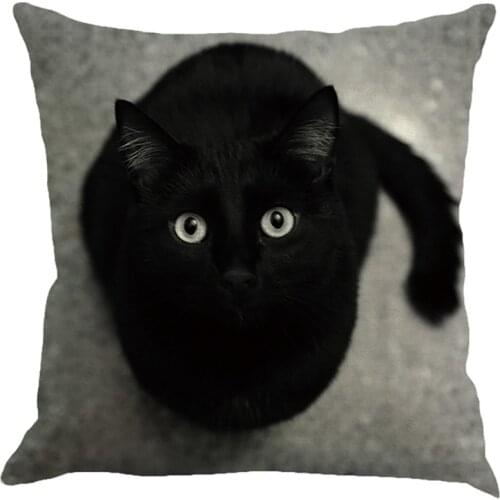 3D Cat Print Pillowcase Fashion Cushion Cover Home Decorative Car Sofa Bedroom Pillow Cover Sofa Bed Decor Pillow Cases