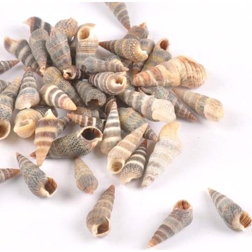 100pcs Spiral Natural Shells DIY Nautical Home Decor For Glass Bottle Accessories Seashells Scrapbook Craft Ornaments tr0278