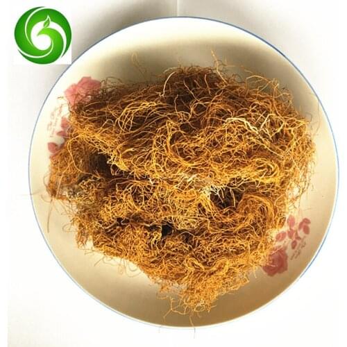 Lethariella cladonioides Krog whole and dried for herb, Jin Si Cha, Hong Xue Cha