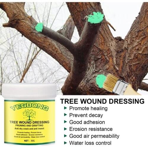 100g Wound Repair Cream Portable Reliable Professional Tree Wound Bonsai Cut Wound Paste Botanical smear tree healing ointment
